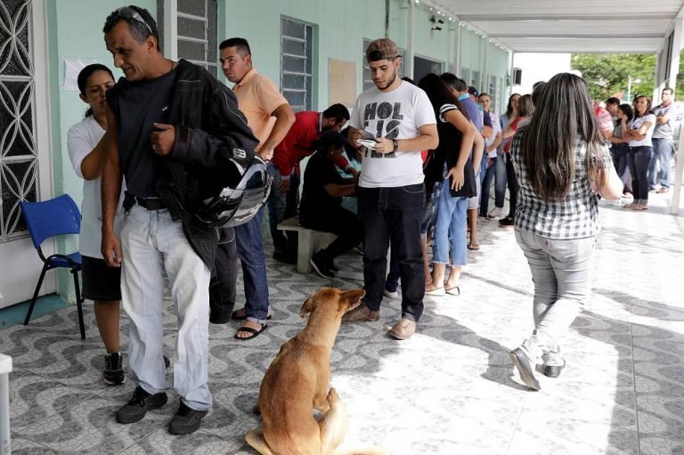 Metade das mortes por febre amarela foi em Mairiporã