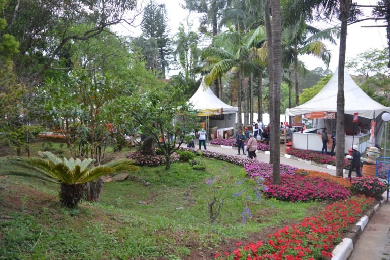 Festa das Flores e Morangos começa neste final de semana