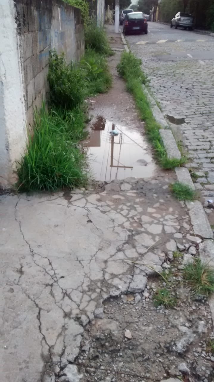 Mato em calçada obriga pedestre a andar no meio da rua