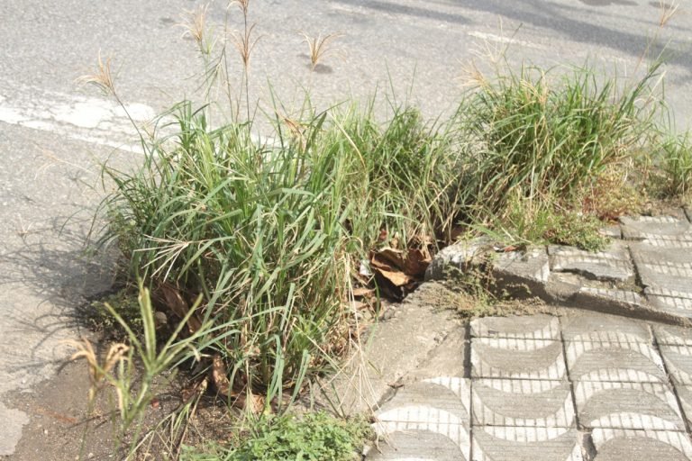 Sem fiscalização, calçadas são desafio para pedestres