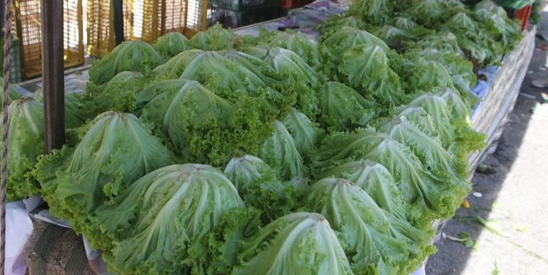 Temperatura cai e preço de verduras e legumes sobe