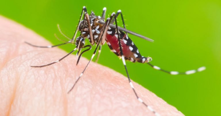 20 casos de DENGUE confirmados na cidade