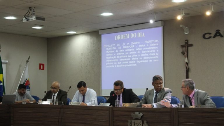 Câmara teve ‘enxurrada’ de indicações e proposituras sem relevância em 2019