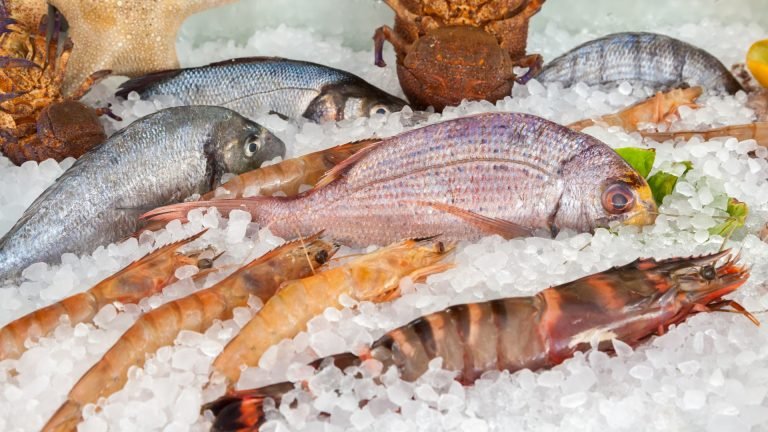 Pesquisa da Apas aponta que pescados ficarão até 2,5% mais caros na Semana Santa