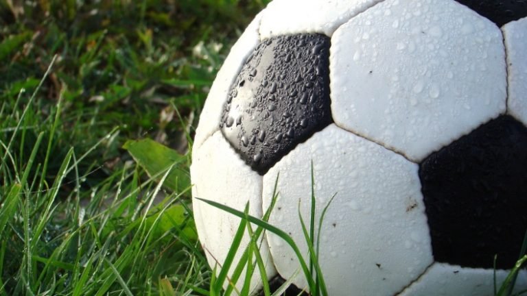 Divulgadas as equipes que vão disputar a Copa Paulista de Futebol