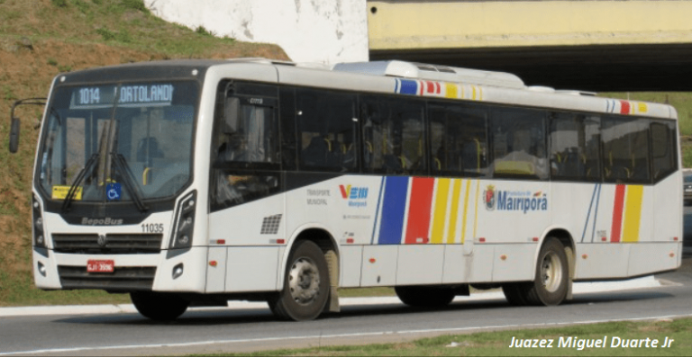 TCE aponta indícios de irregularidades na contratação da nova empresa de ônibus