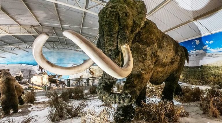 Zooparque Itatiba inaugura maior museu de história natural da América Latina