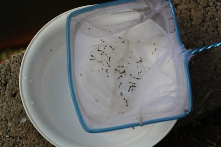 Seis casos de dengue confirmados na cidade