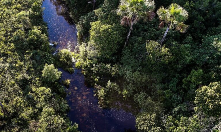 Turismo no País registra crescimento em 2020, mas ainda abaixo de 2019