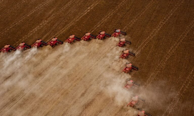 Exportações do agronegócio sobem 20,9% no 1º semestre