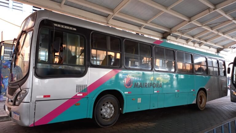 Transporte urbano: nova empresa começa a se adequar ao serviço
