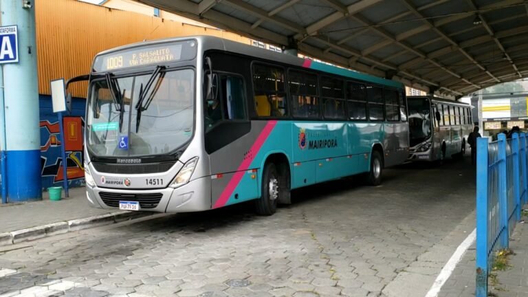 Viação Rosa retoma o serviço do transporte urbano