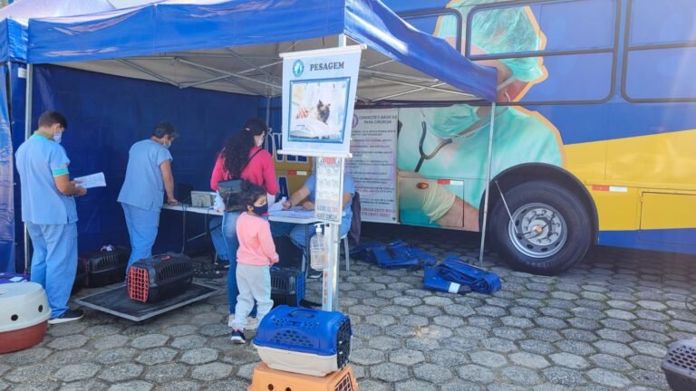 500 animais foram castrados no primeiro dia da campanha