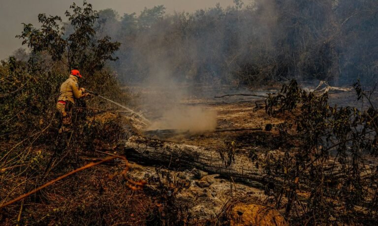 Meio Ambiente terá 6 mil bombeiros para controlar focos de queimadas