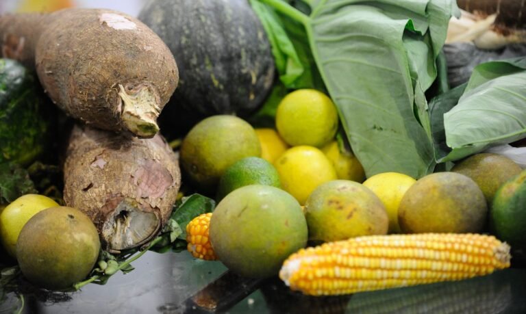 14% da população brasileira se considera vegetariana