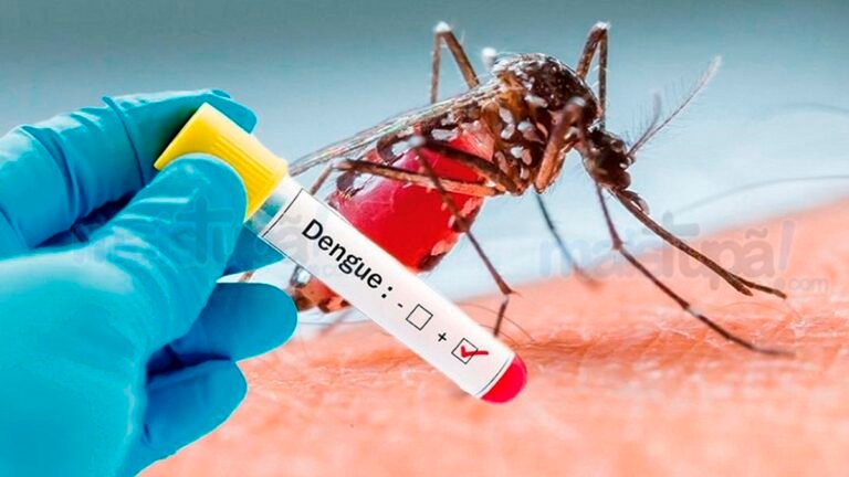 Casos de dengue aumentaram 100% em até setembro