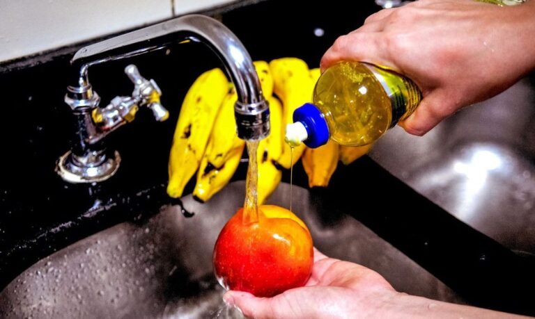 Erros de higiene na cozinha colocam a saúde em risco