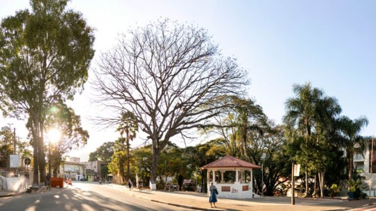 Estação mais quente do ano, o Verão começa na terça-feira