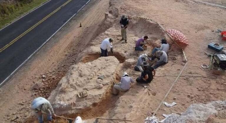 Ninhada de ovos de dinossauro é descoberta no interior paulista