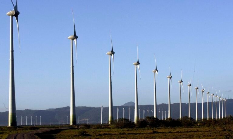 MME: eólica e solar somadas têm 2ª maior posição na matriz energética