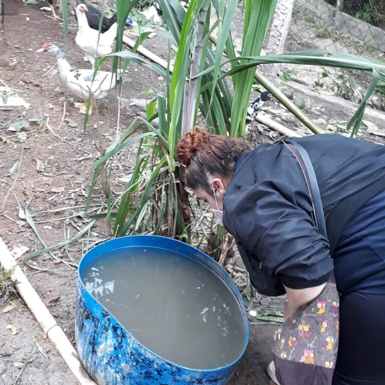88 bairros vistoriados no mutirão contra a dengue