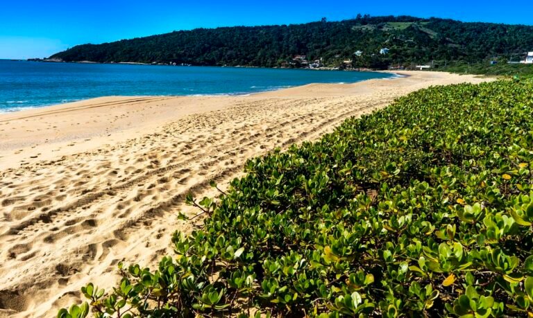 Número de praias e marinas premiadas no Bandeira Azul pode aumentar