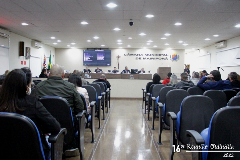 Produtividade legislativa privilegia conteúdos inócuos e repetitivos