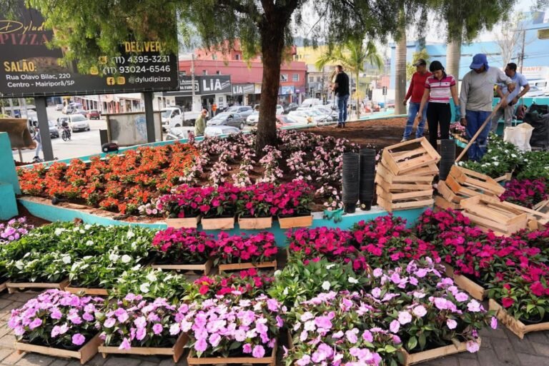 Praça do Rosário ganha novo visual com canteiros floridos e paisagismo