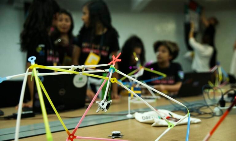 Instituto distribui R$ 9,1 milhões para jovens cientistas do Brasil