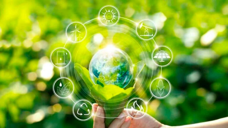 Formação em Ecologia Quantitativa: inscrição vai até 8 de novembro