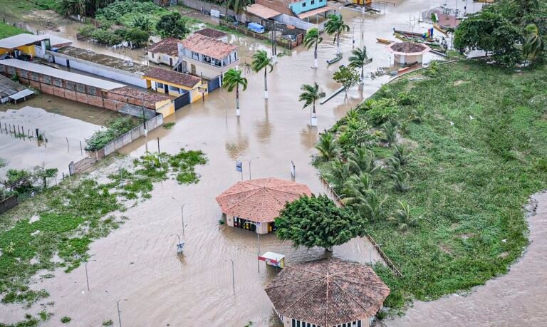 Brasileiro já pode receber alertas de desastres naturais por WhatsApp