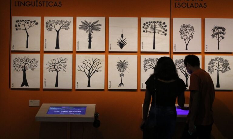 Em São Paulo, exposição sobre línguas indígenas ganha versão virtual