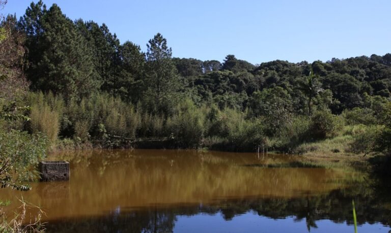 Brasil ganha 1,7 milhão de hectares de superfície de água em 2022