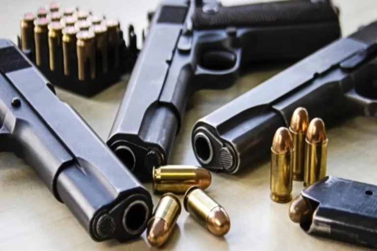 Proprietários de armas de fogo têm 60 dias para fazer cadastro