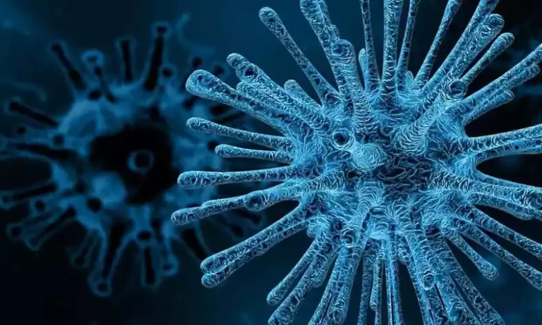 ONU: supermicróbios podem causar 10 milhões de mortes ao ano até 2050