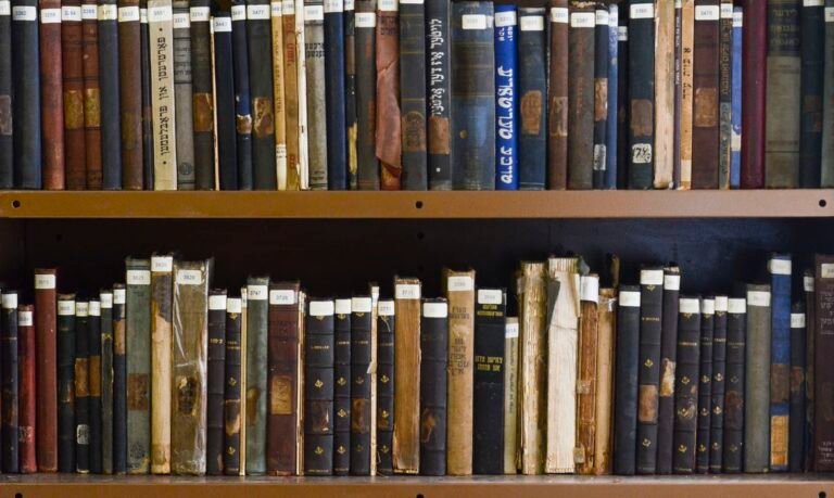 Plano Nacional do Livro e Leitura quer ampliar número de bibliotecas