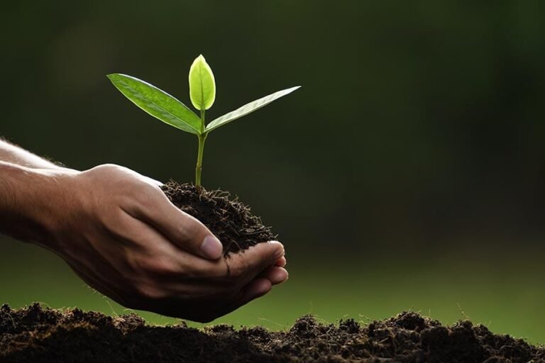 Mairiporã autorizada a efetuar licenciamento ambiental de Alto Impacto