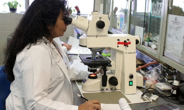 Programa ‘Futuras Cientistas’ tem 470 vagas para alunas e professoras