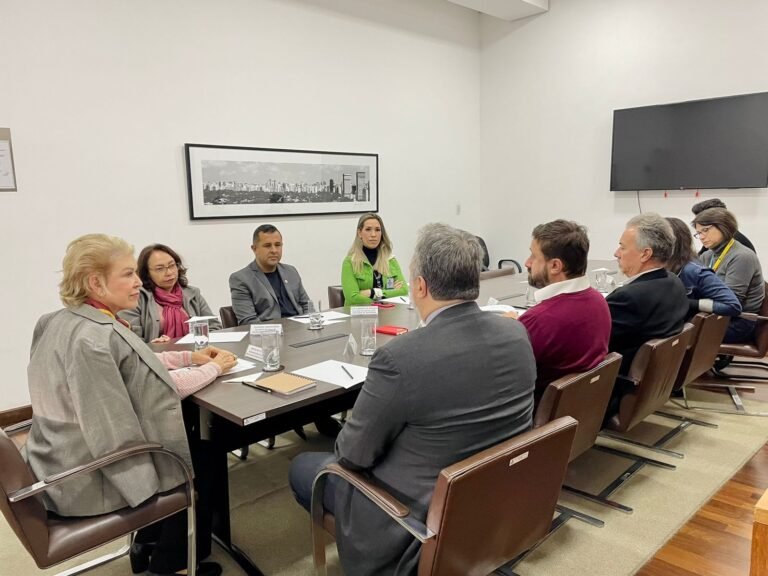 Comissão de Mairiporã dos ODS reunida com a secretária Marta Suplicy