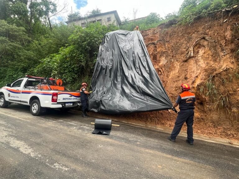 Temporal causa danos pela cidade com queda de árvores e desabamento
