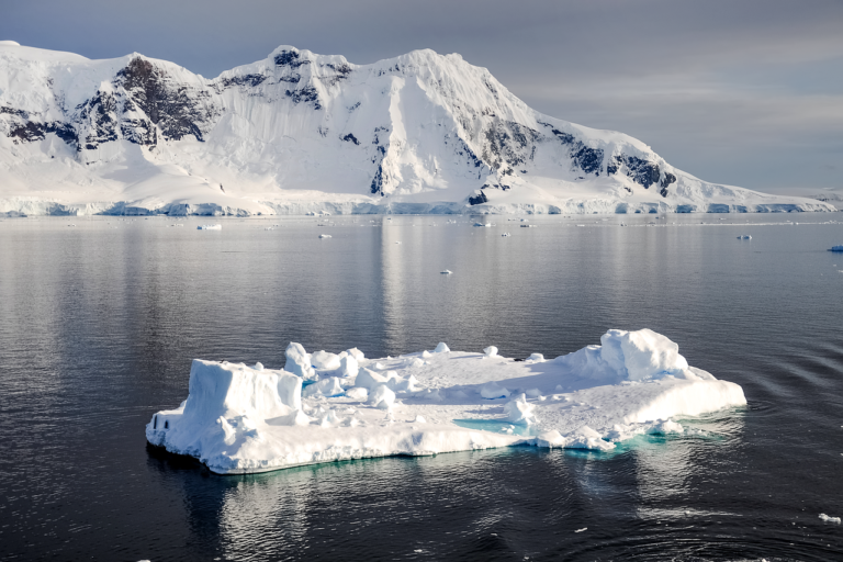 Pesquisas brasileiras ajudam a entender vida na Antártica