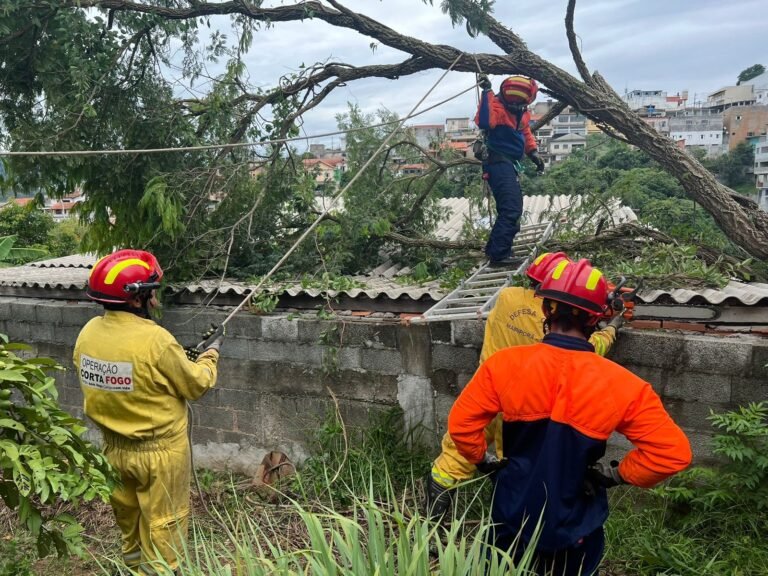 Árvores caíram sobre residências no final de semana