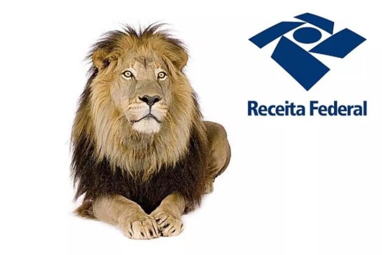 Entrega da declaração do Imposto de Renda vai de 15 de março a 31 de maio