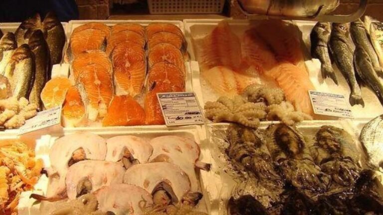 Instituto de Pesca de SP explica como escolher e armazenar pescado no verão