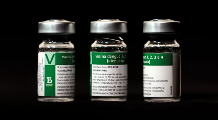 Mairiporã e cidades da região não vão receber doses da vacina contra a dengue