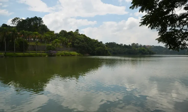 Megaoperação de Limpeza da Represa Paiva Castro