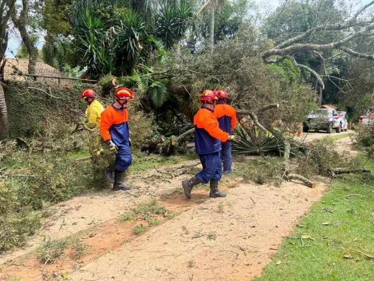 Chuvas causam estragos por toda a cidade