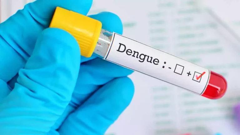 Mairiporã tem mais de 1.500 casos confirmados de dengue em três meses