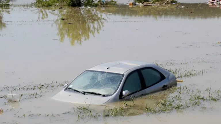 A cada 10 brasileiros, 9 acreditam que mudanças climáticas afetarão a humanidade
