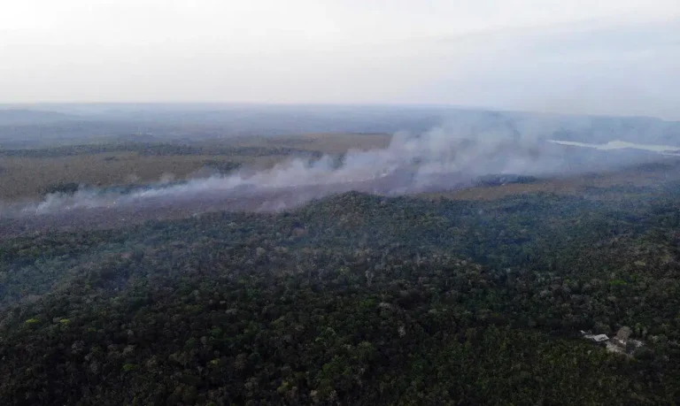 Calendário define áreas em emergência ambiental por incêndio florestal